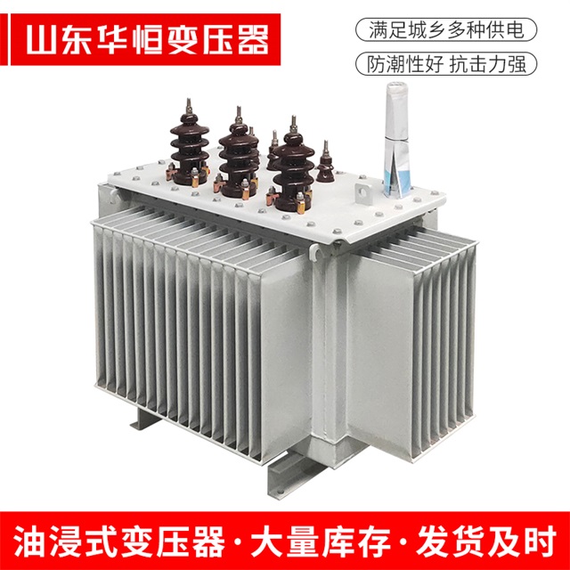 S13-10000/35新河新河新河油浸式变压器厂家