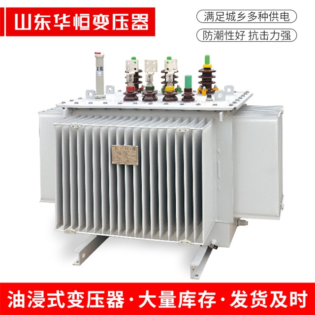 S13-10000/35新河新河新河电力变压器